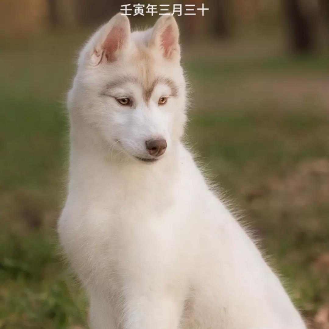 名儿可不好起啊