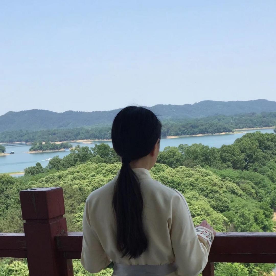 有情y