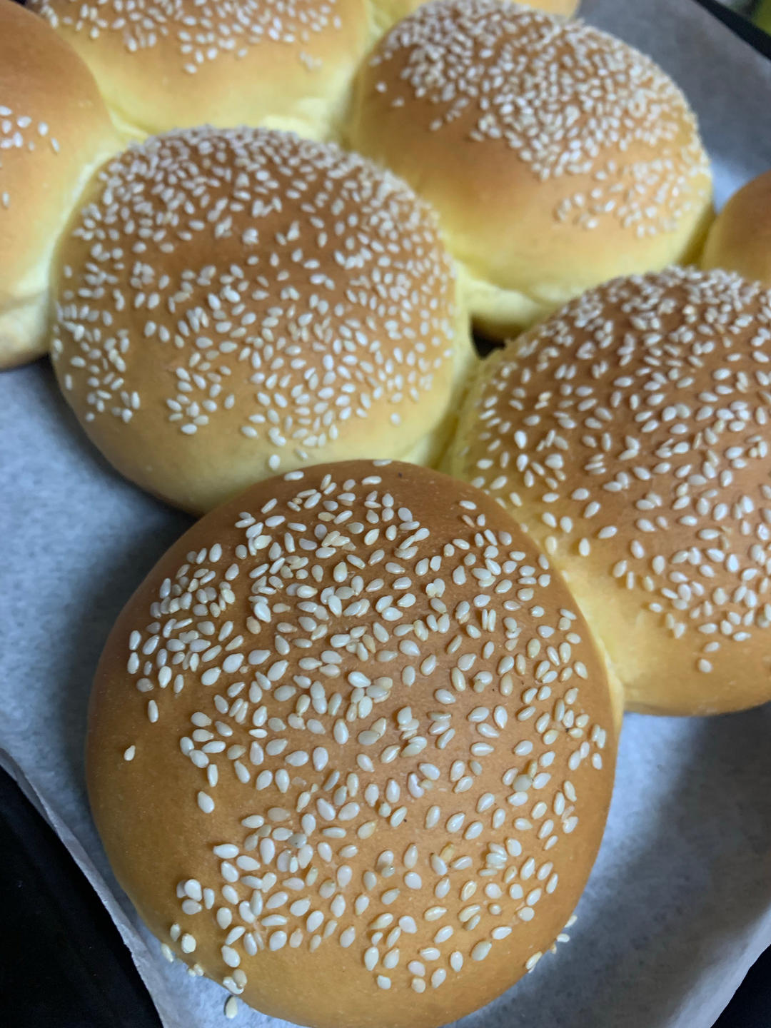 基础牛奶小餐包/汉堡胚/吐司（一次发酵，极简原料）