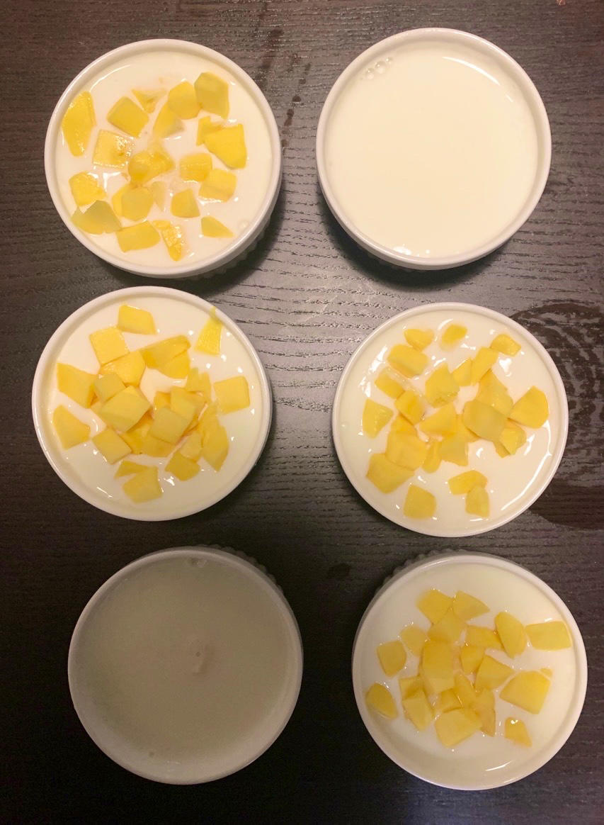 顺德双皮奶