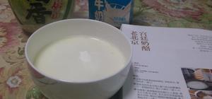 自制酸奶的封面