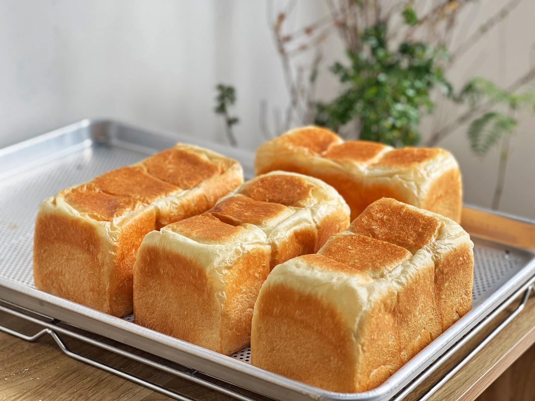 100%含水量豆腐生吐司