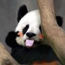 来自日耳曼帝国的夙夜夜