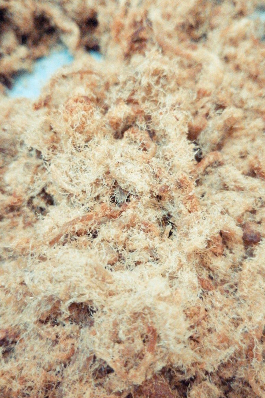 烤箱版猪肉松
