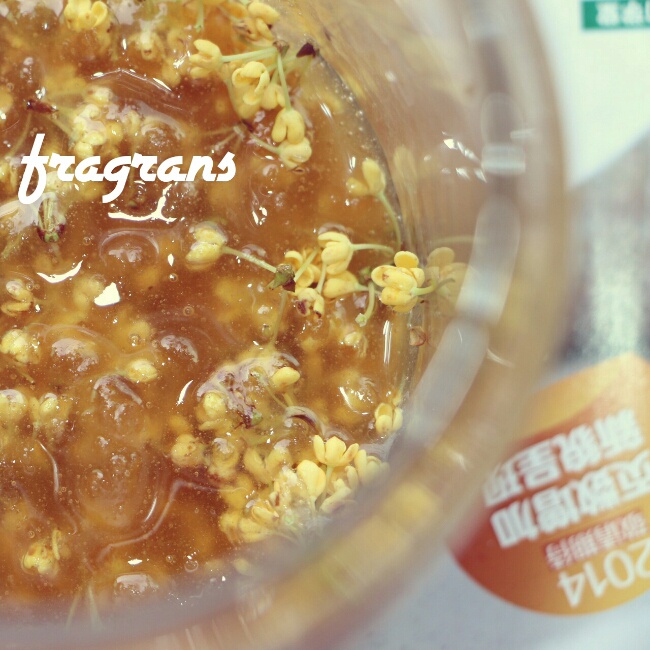 自制桂花蜜酱