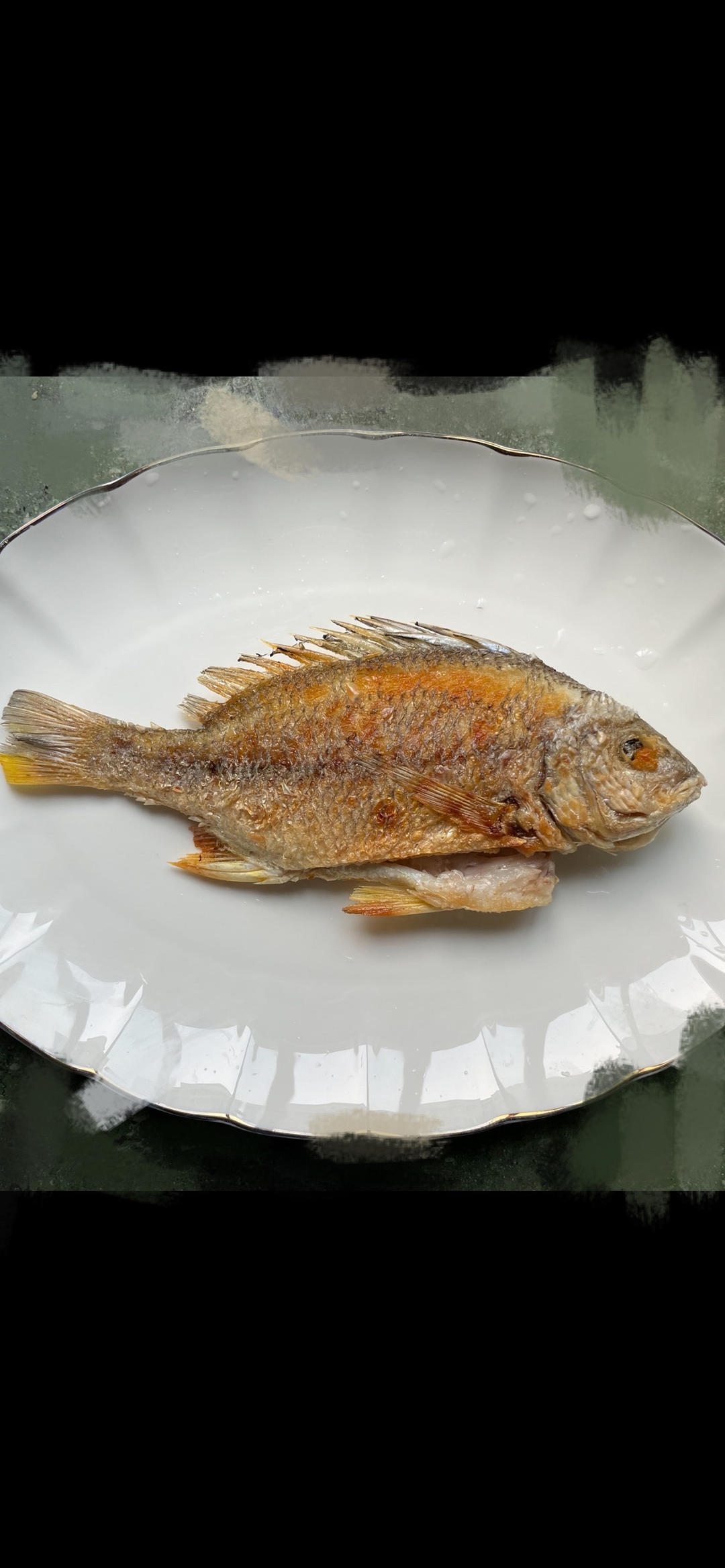 【0732】干煎黄翅鱼（黄鳍棘鲷）  <302小厨房>