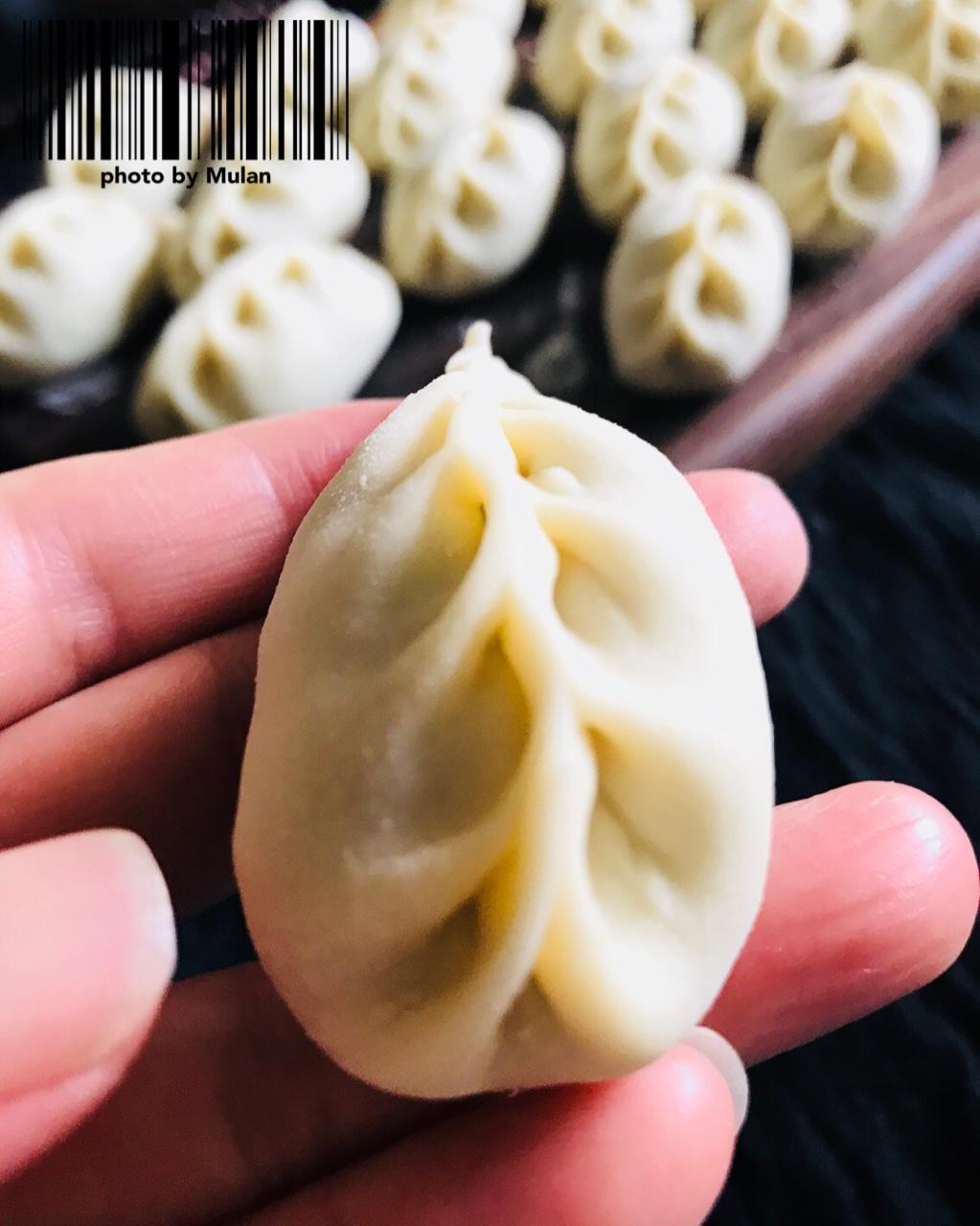 彩色柳叶饺子