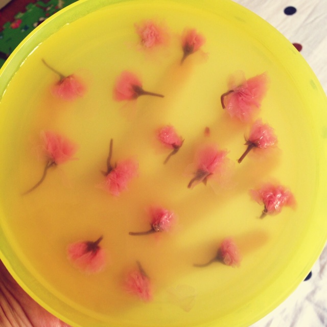 樱花水晶皮冻