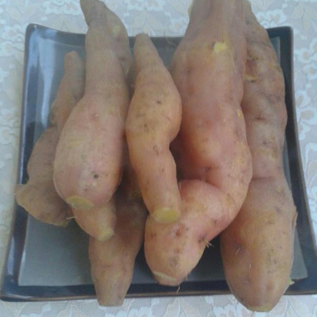 蒸红薯
