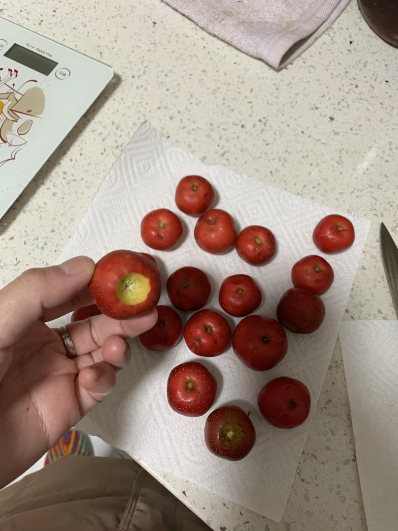 老北京冰糖葫芦
