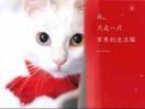 十一大猫