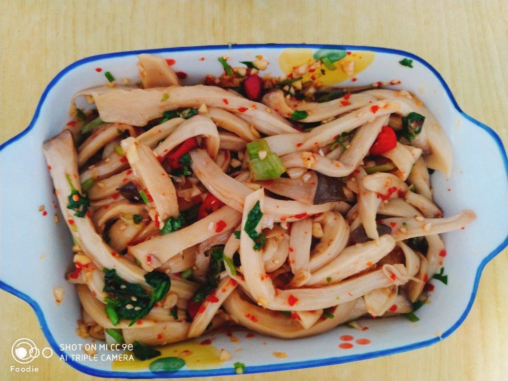 比肉还好吃的【手撕凉拌杏鲍菇】，上桌扫光光