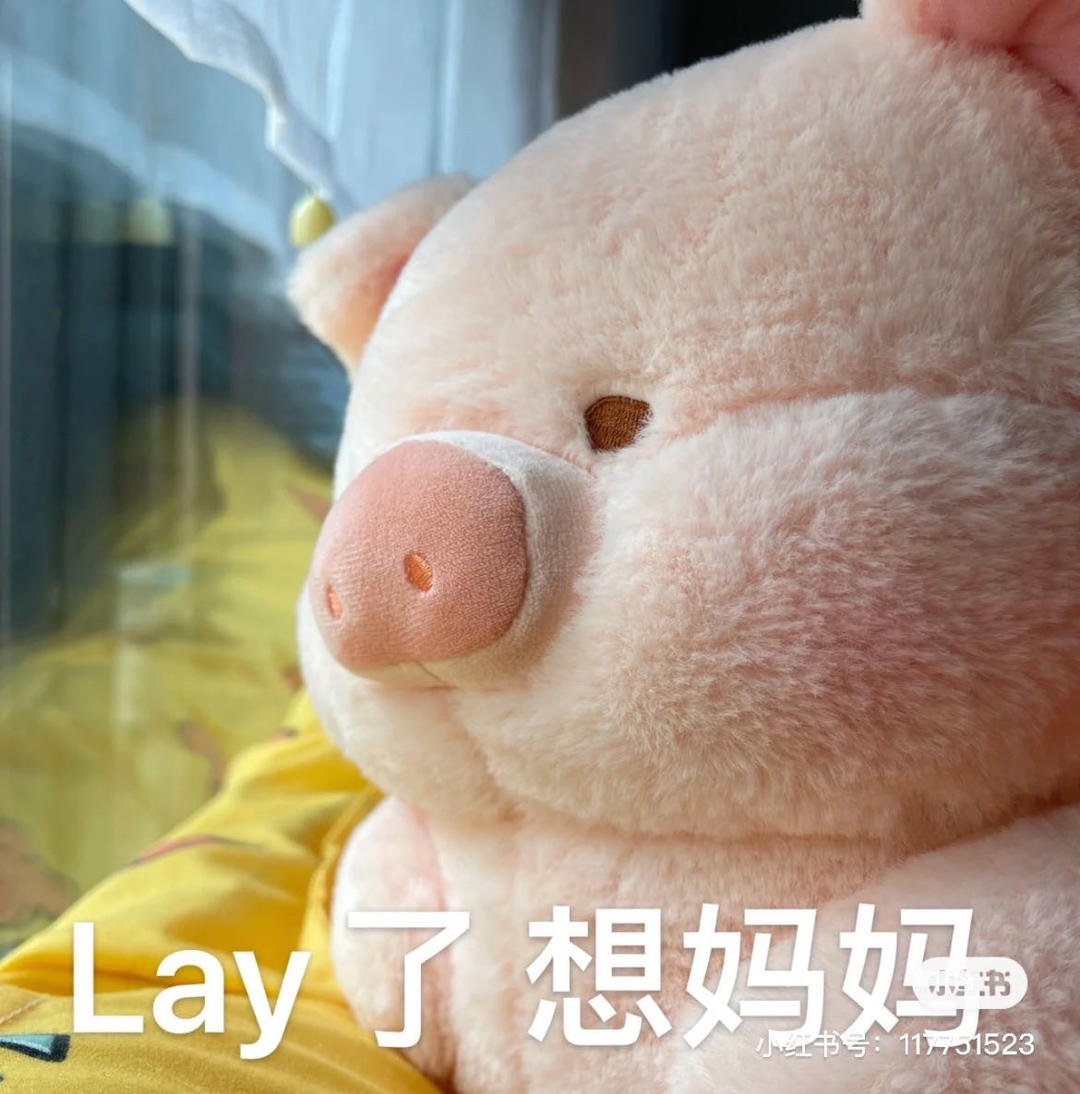 我还不会做饭诶