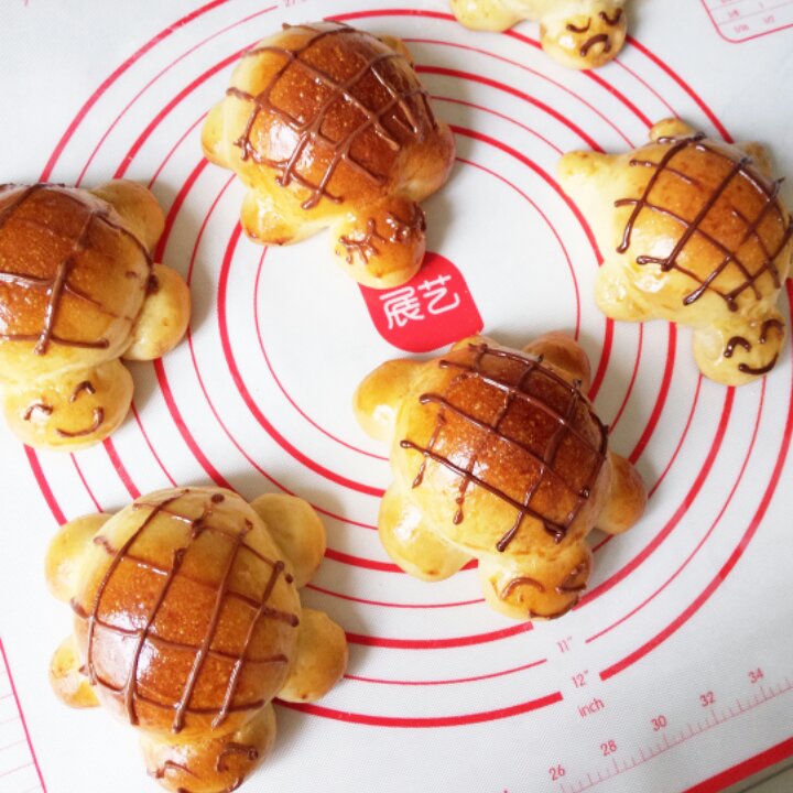 不孤独的食物美学✔