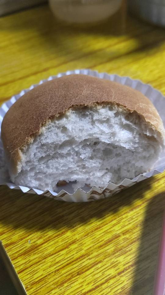 波兰种+一发冷藏的蓝莓果酱吐司（无蛋奶）