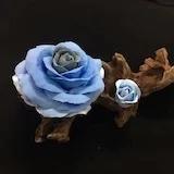 WanAn-shine的小窝