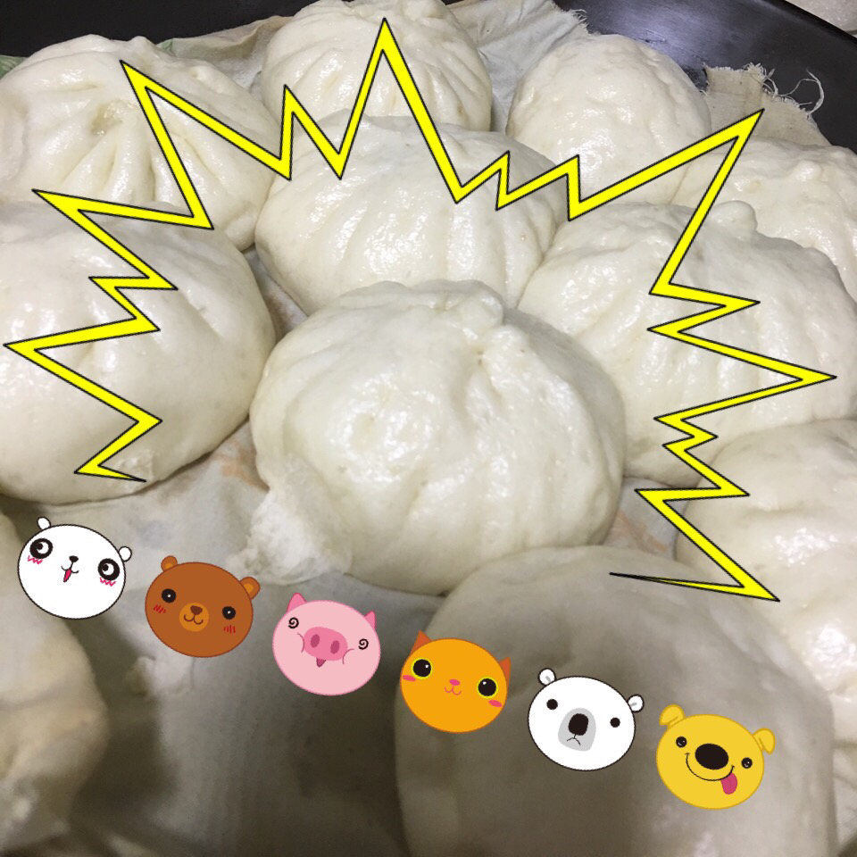 详解鲜肉大包做法。