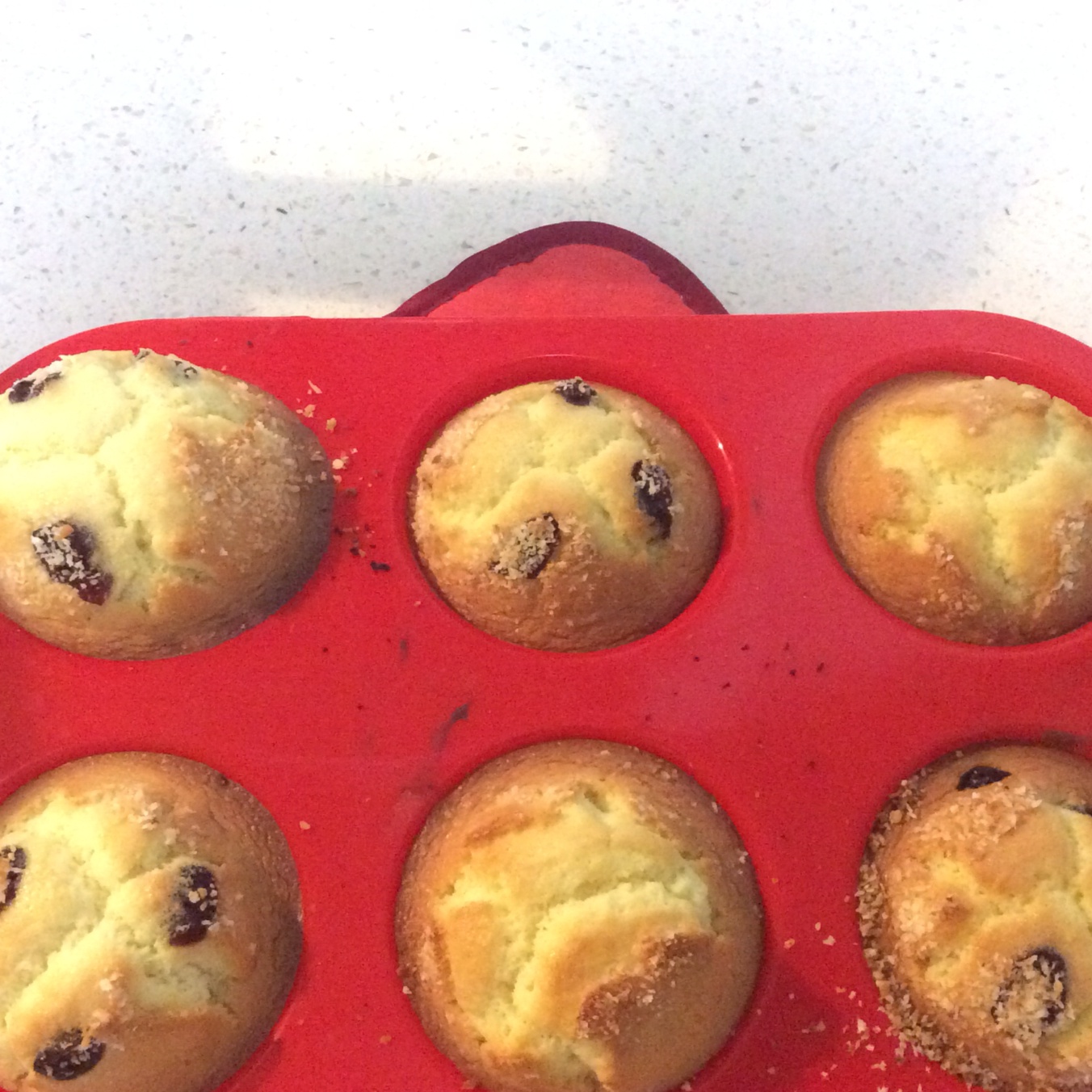 不会回缩的纸杯蛋糕--海氏烤箱定制