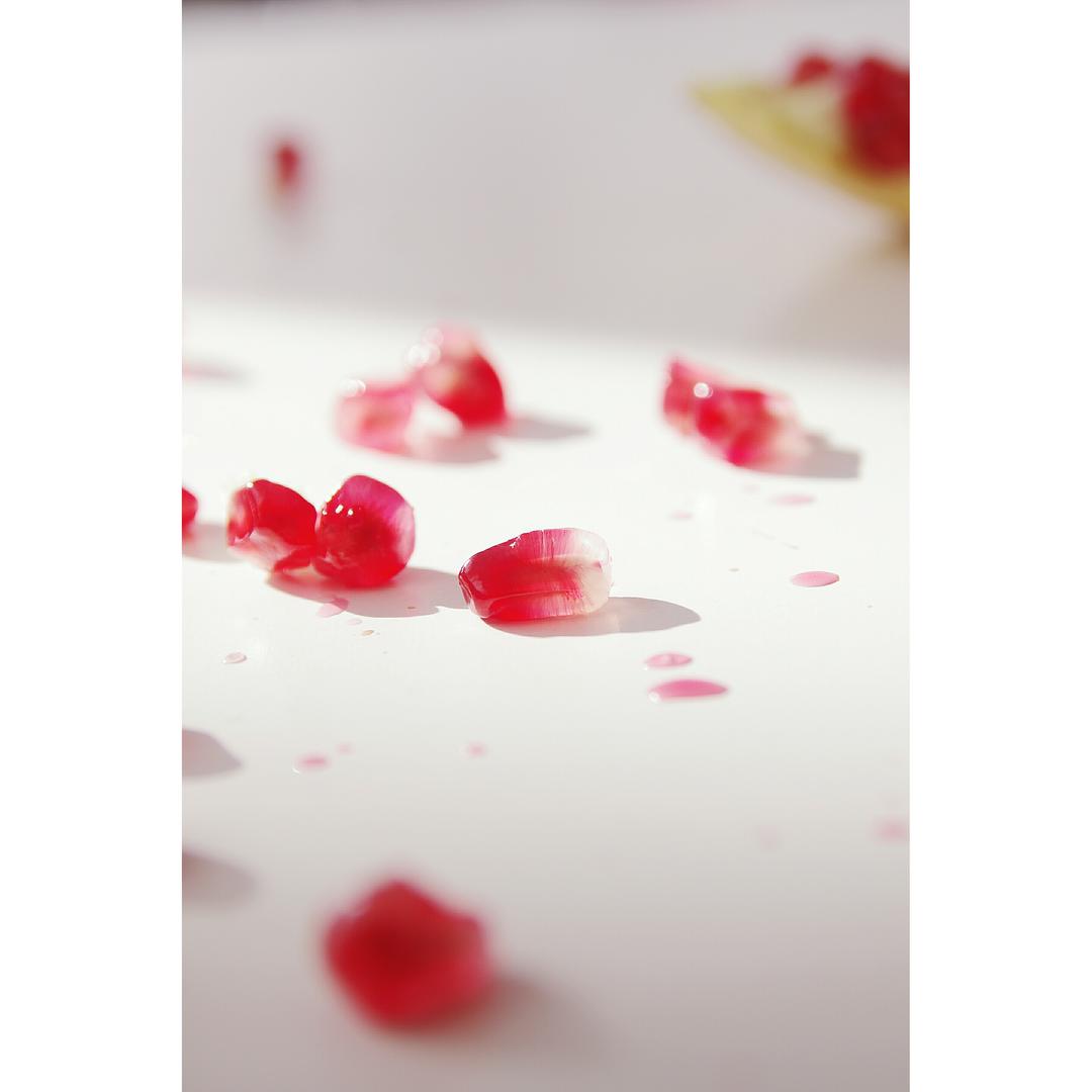 2017 从春约到冬