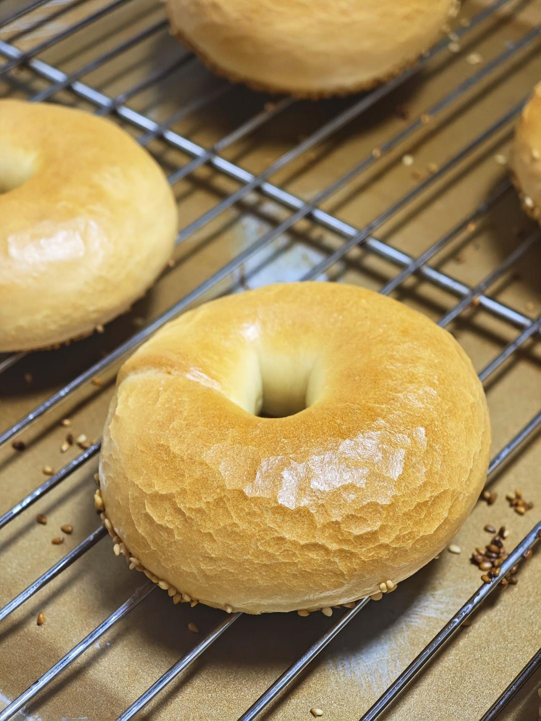 奶盐芝麻脆底贝果🥯咸香酥脆🧈奶味浓郁