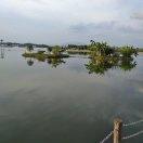 手机用户0800_msq9的厨房