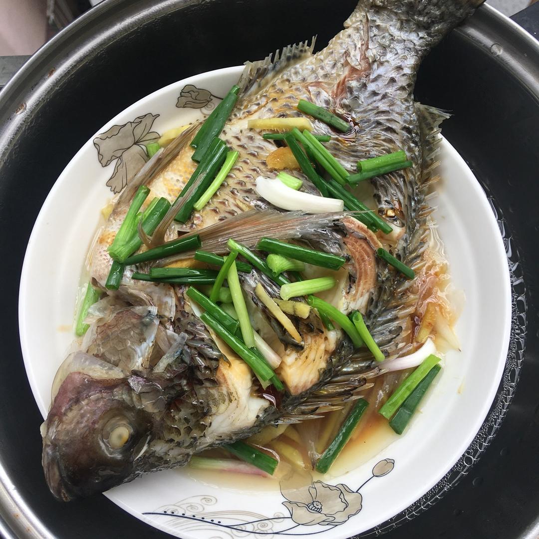 过年餐桌上少不了的菜——清蒸罗非鱼