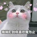 柔软的善良