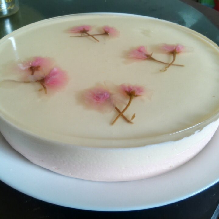 樱花彩虹慕斯蛋糕