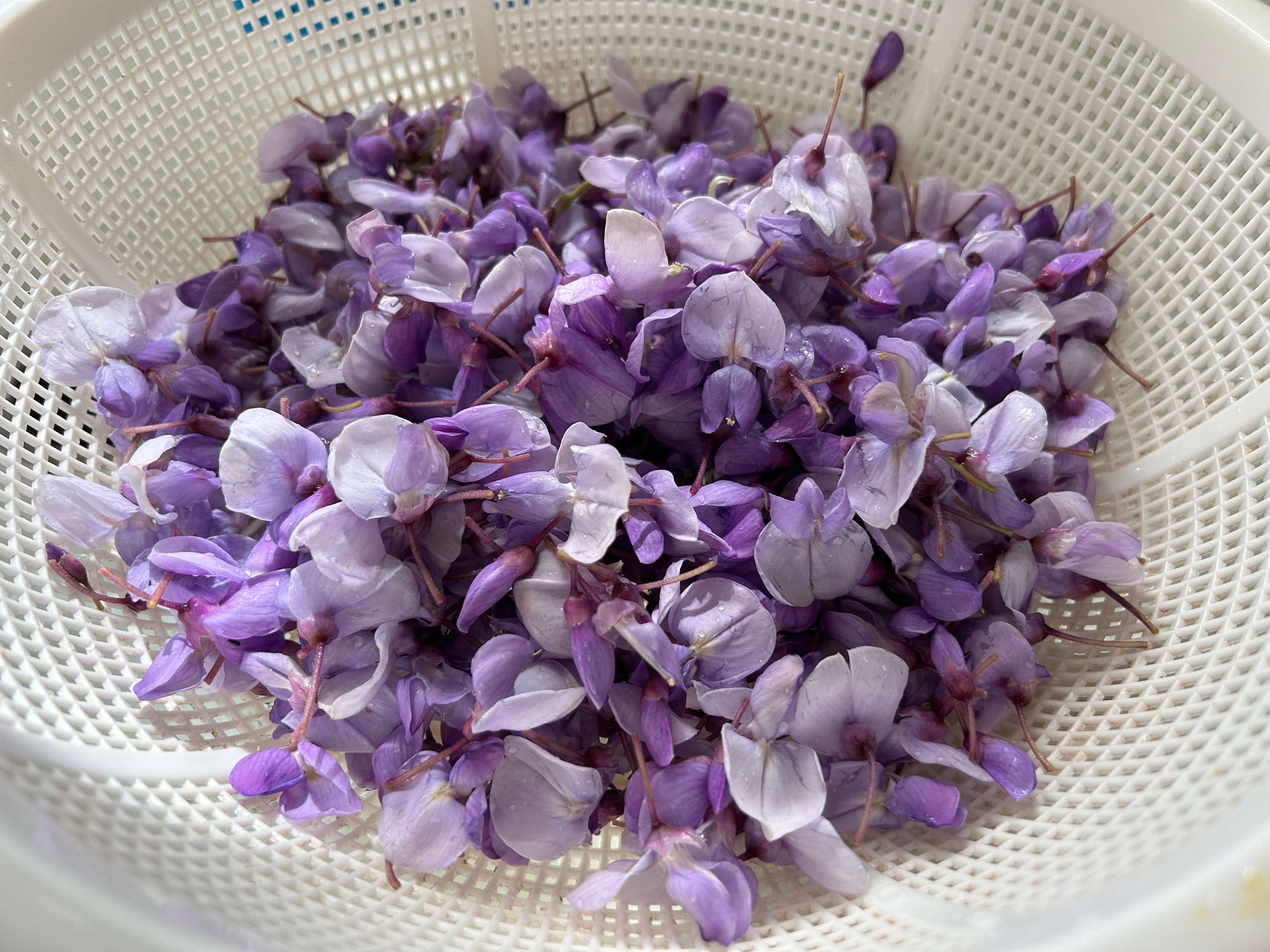 春天的味道——紫藤花饼的做法 步骤1