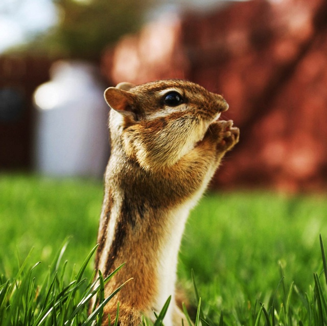 只是扯扯淡而已