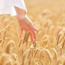 花花学做满汉全席