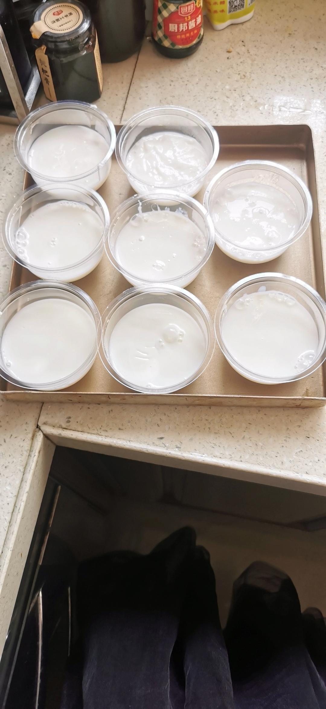 快手双皮奶
