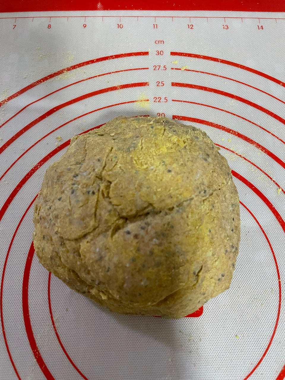 快手全麦黑芝麻苏打饼干 无糖无油 适合减肥人士吃