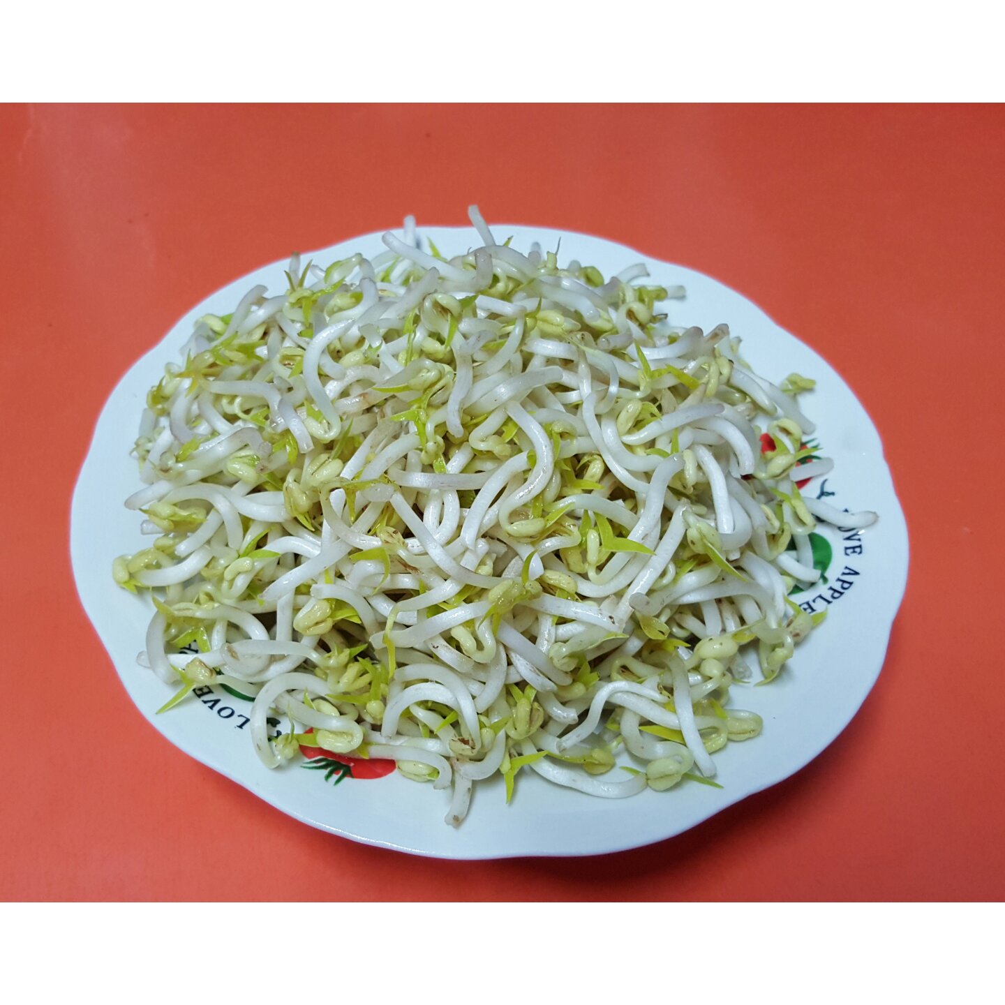 自制豆芽