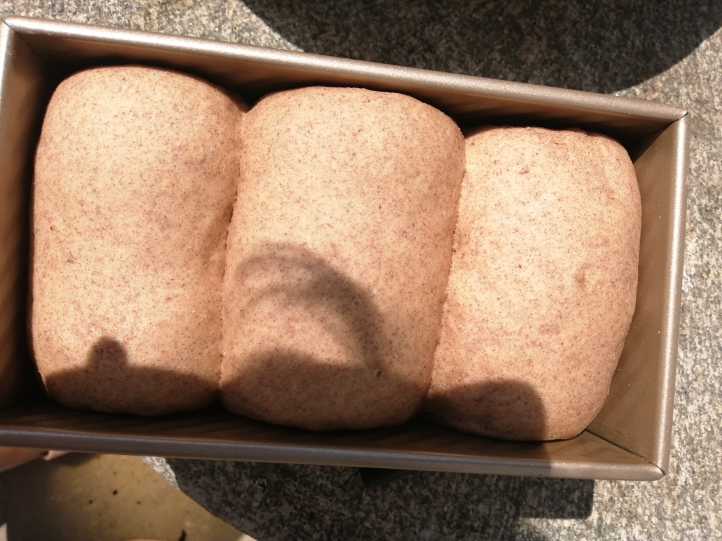 手揉中种法黑全麦面包（木糖醇版本）的做法