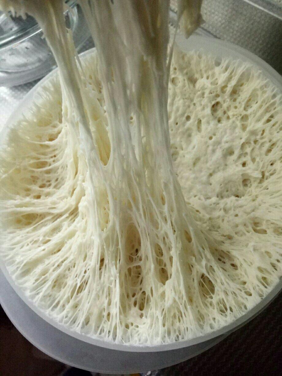 老面酵头 Bread Starter