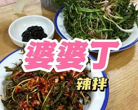 延边菜拌婆婆丁