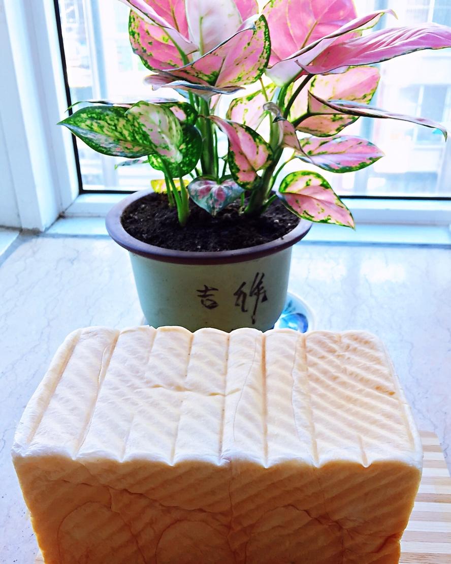Poolish种（波兰种）吐司——不推荐不行的吐司配方