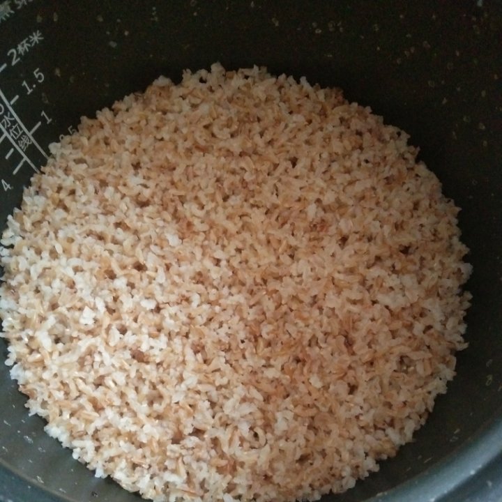 简易糙米饭