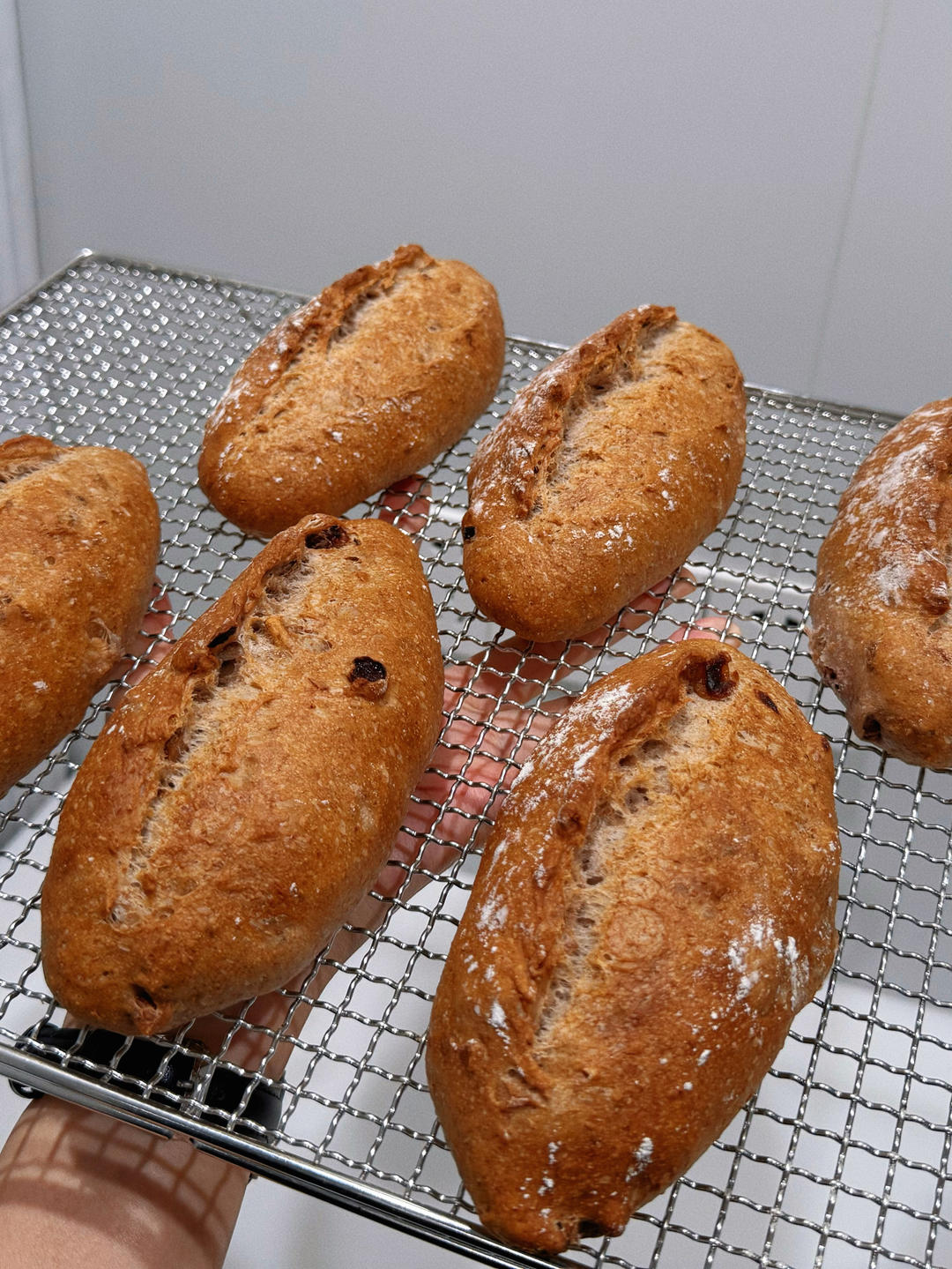 山姆同款无糖全麦坚果果干欧包，天天吃都不腻！