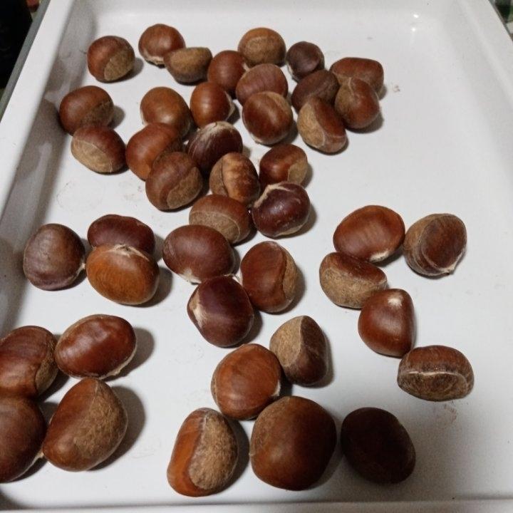 懒人烤板栗，无糖无油不脏手