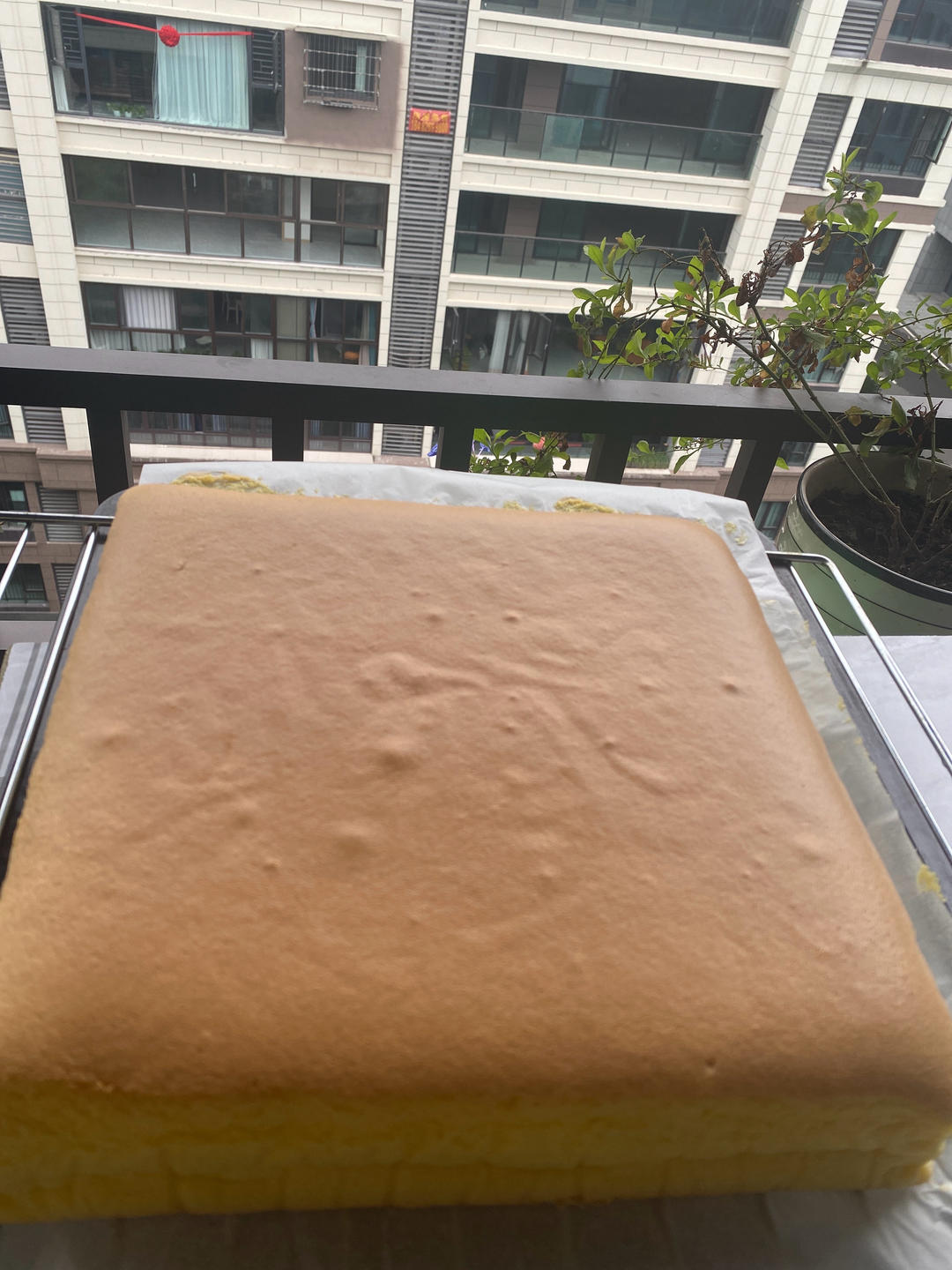 真正零失败的古早蛋糕