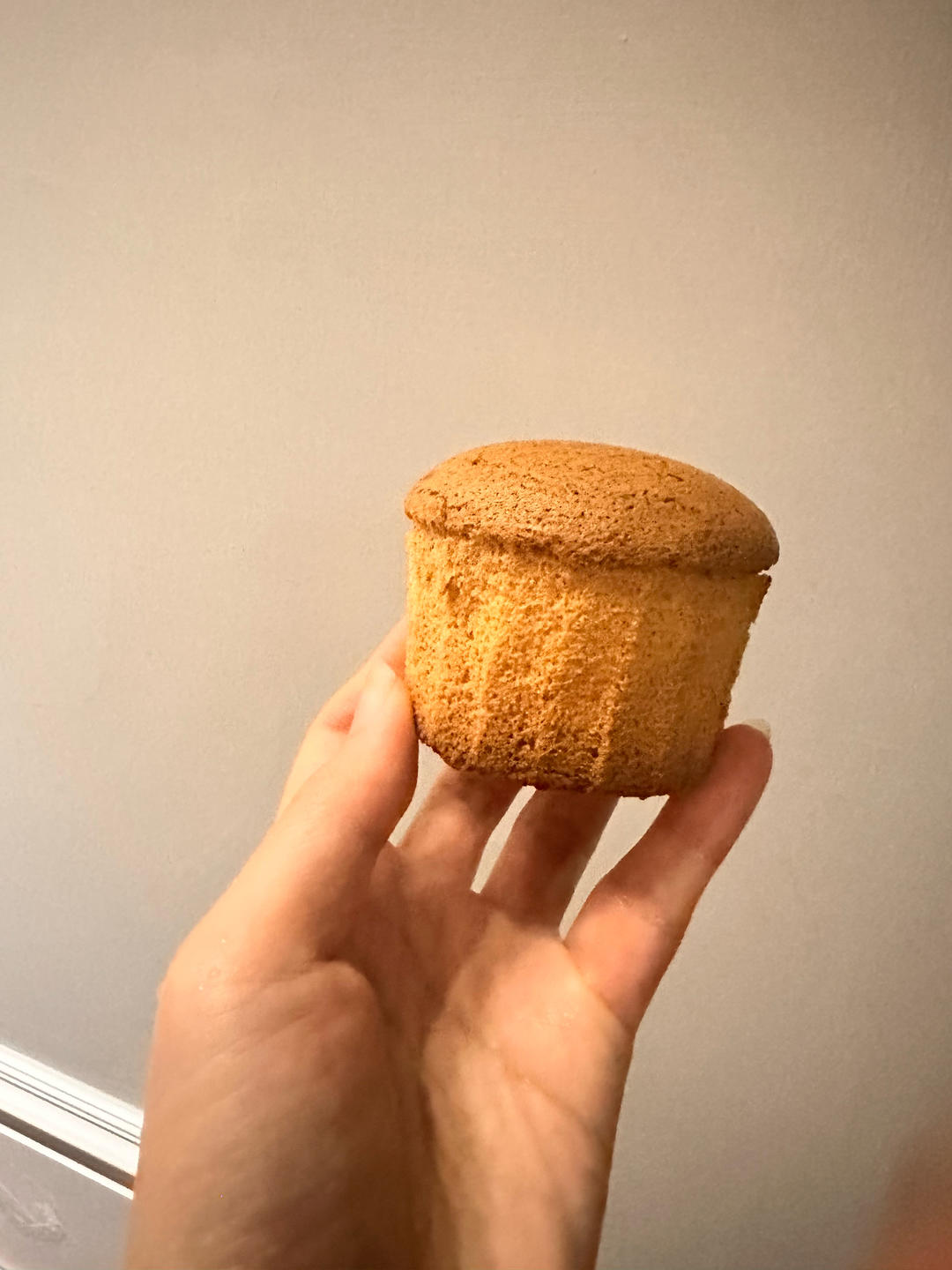 超软烫面戚风蛋糕