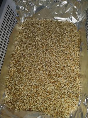 去湿养生红豆薏米芡实粉的做法 步骤4