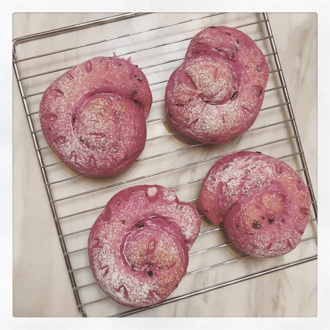 火龙果乳酪软欧