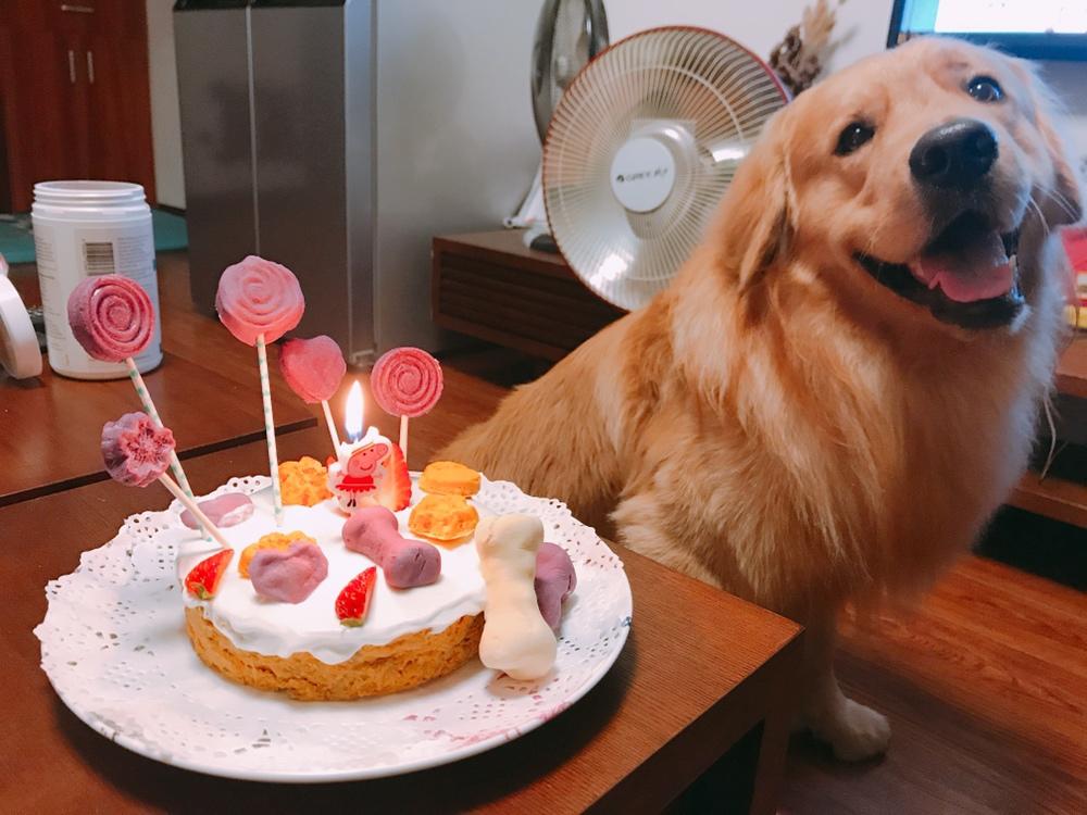 狗狗蛋糕的做法