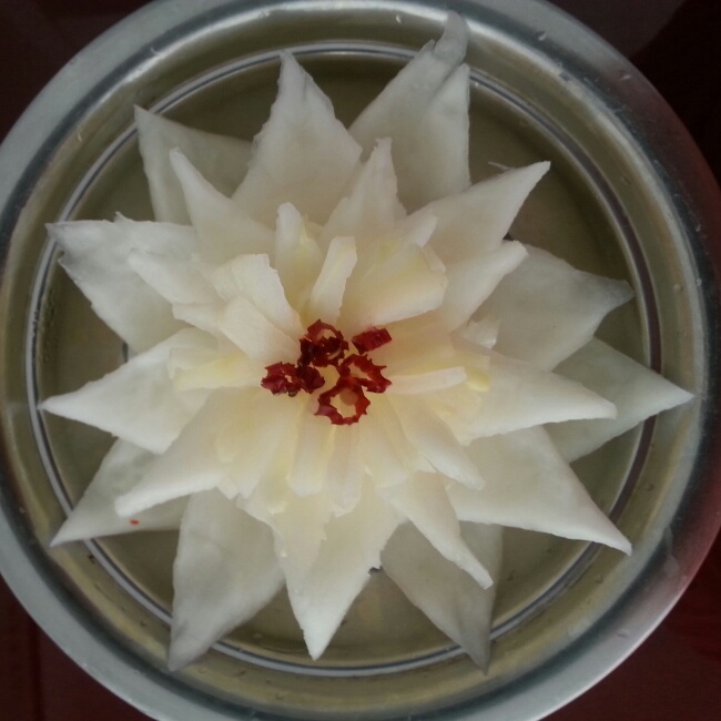 白菜莲花