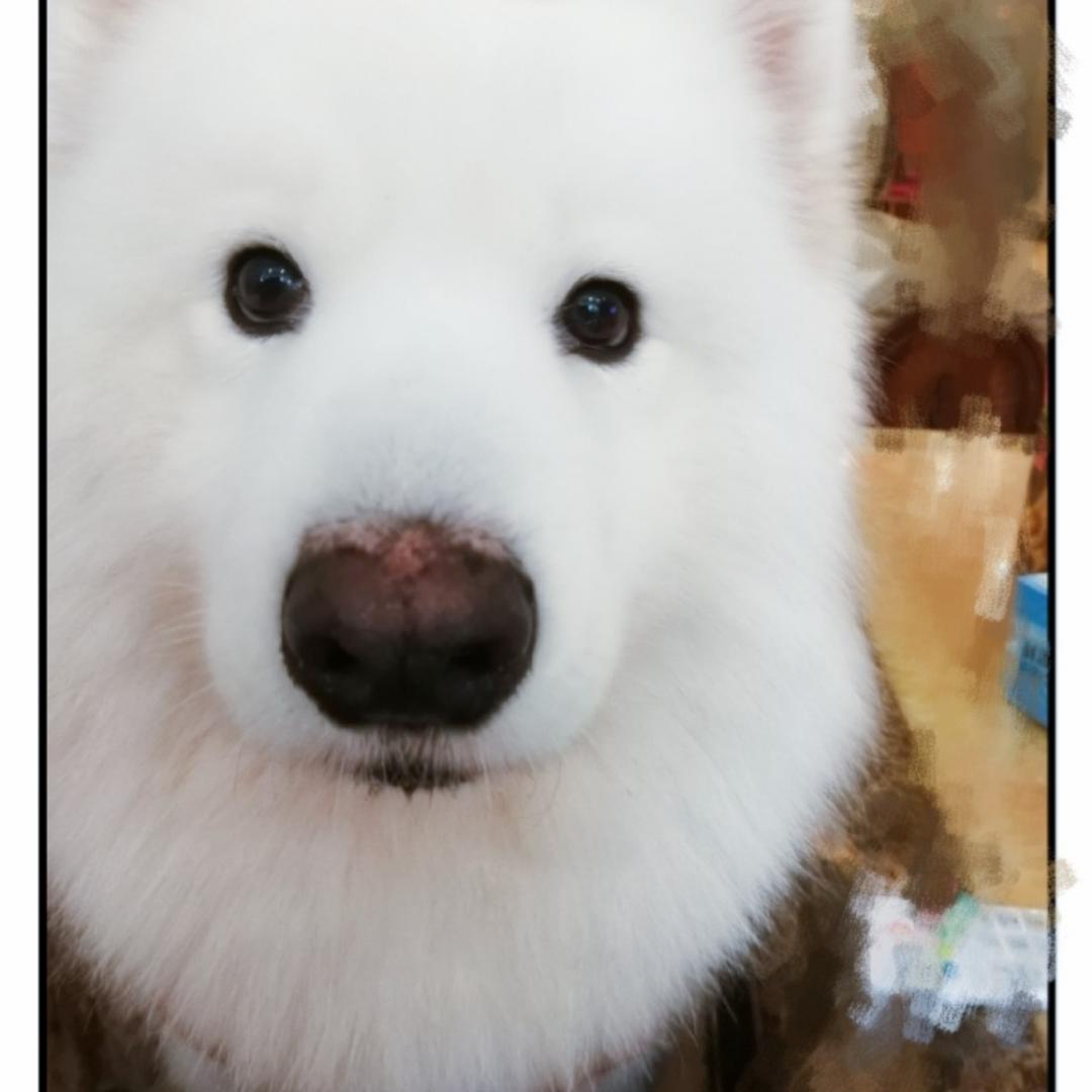 全脂贤私房菜