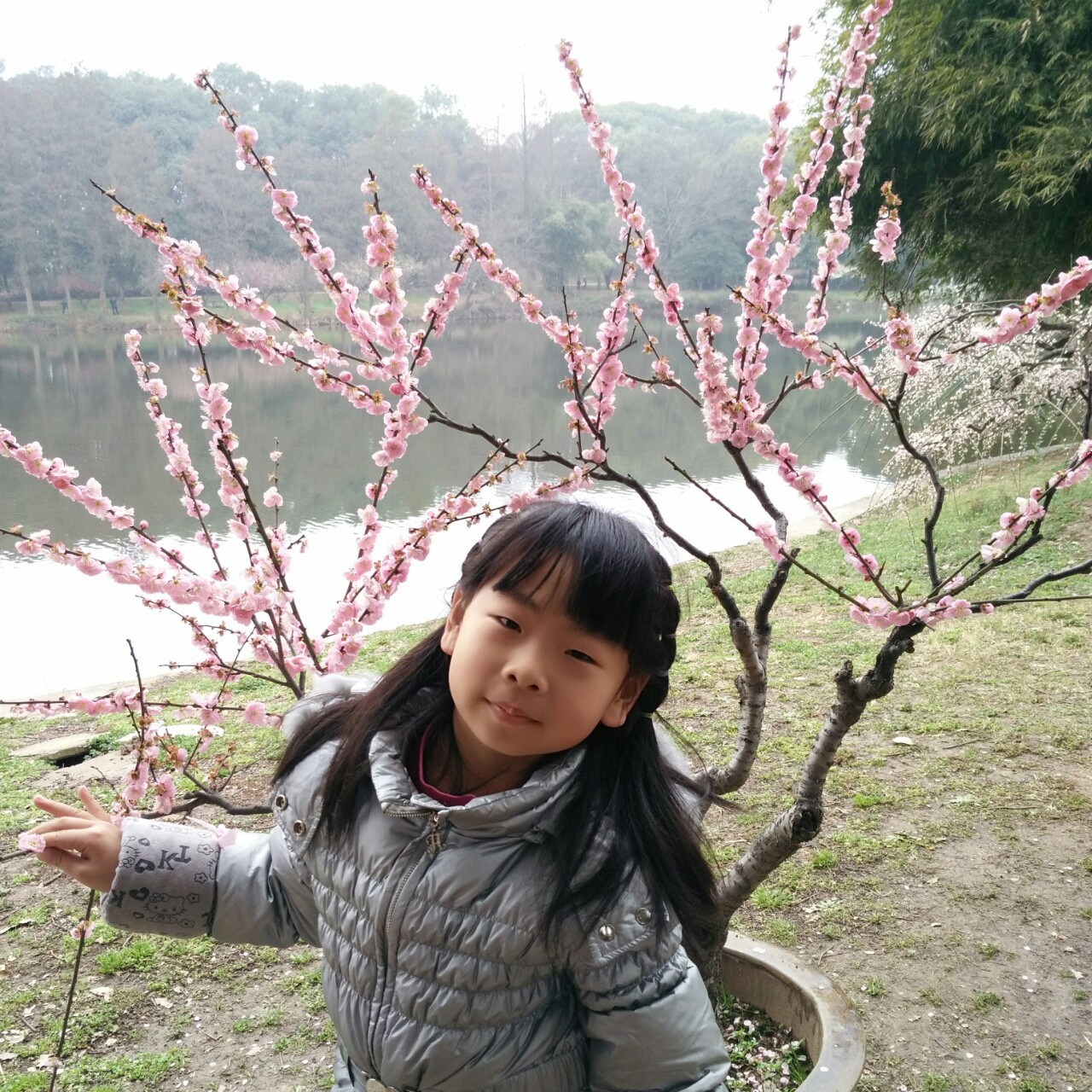 长春藤_l3y2