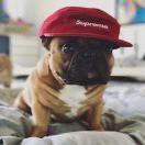 弓长山石爱做饭